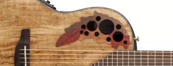 Celebrity Elite+ Mid Depth Acoustic/Electric - Spalted Maple